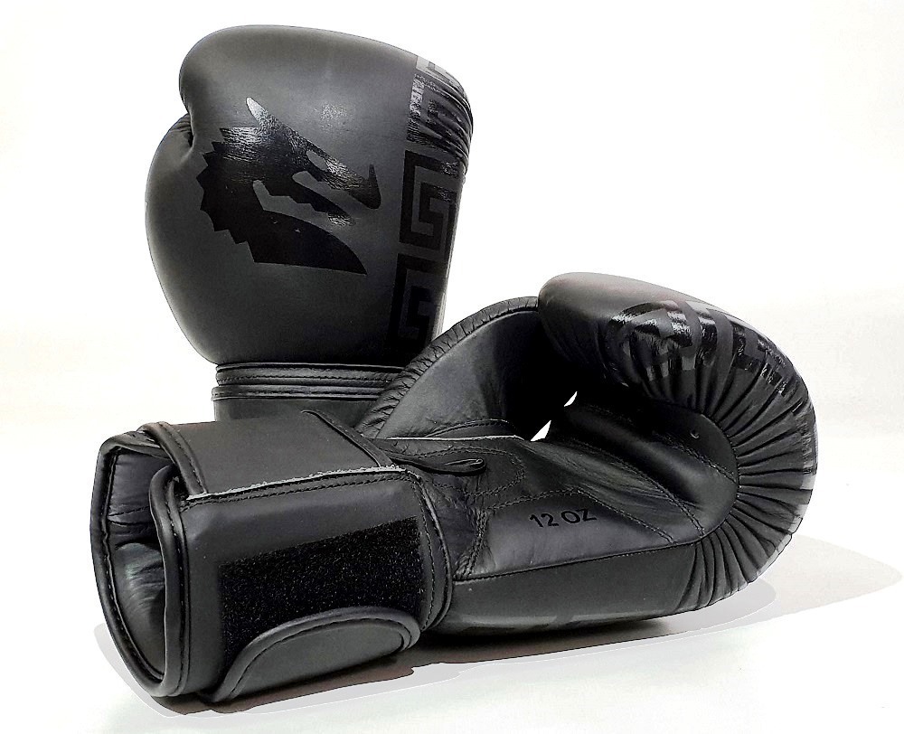 B2 Bomber Boxing Gloves [Boxing Glove Weight 12Oz] Sports