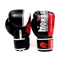 Morgan V2 Endurance Pro Boxing Gloves