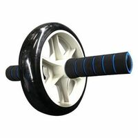 Morgan Ab Roller Wheel
