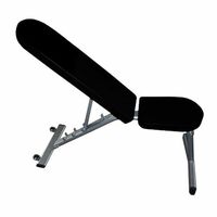 Morgan Adjustable Incline & Decline Workout Bench 