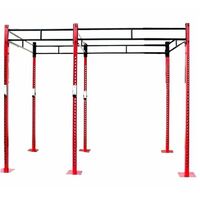 2.5Cell Morgan Cross Functional Fitness Free Standing Rig