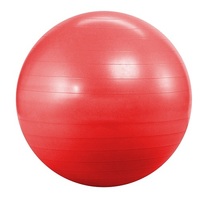 Morgan Gym Ball (55Cm)