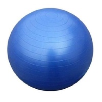 Morgan Gym Ball (65Cm) 