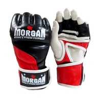 Morgan V2 Platinum Leather Mma Gloves 