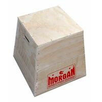 Morgan 3 In 1 Trapezia Wooden Plyo Box 