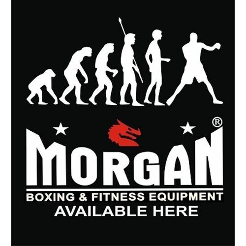 Morgan Evolution Banner